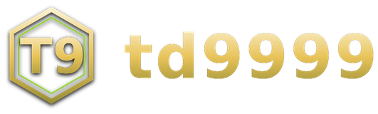 td9999 logo